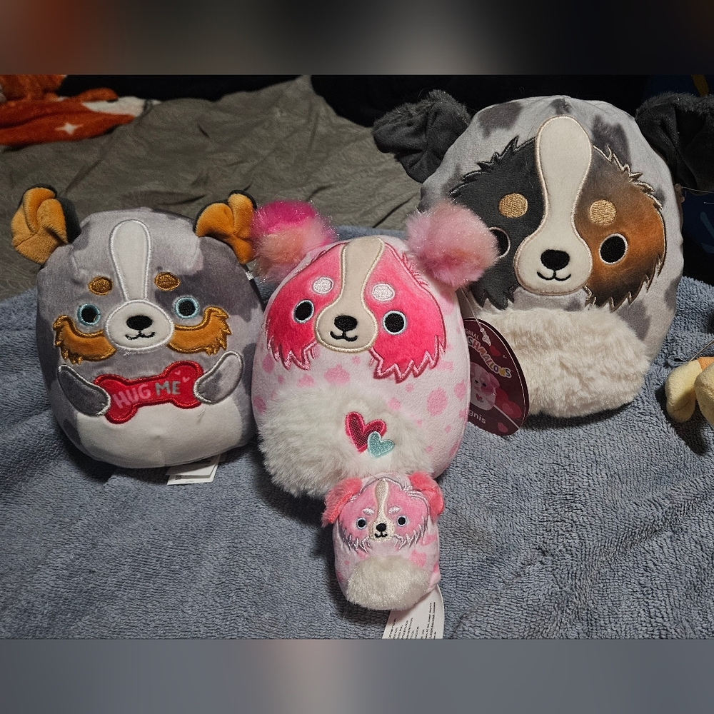 Squishmallows - Raylor the Australian Shepherd Plush Toy Bundle Lot